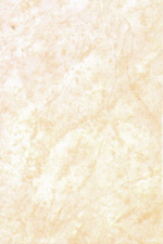 glazed ceramic tile A1-220A