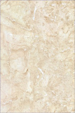 glazed ceramic tile B5-R4509