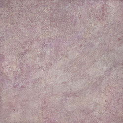 E2-6S005