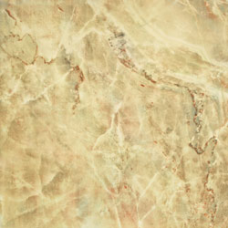 E2-6Y004