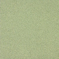 carrelage sol homogenous C2-A506