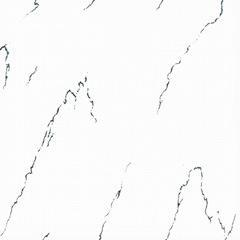 grès cérame poli brillant blanc Modèle D3-SP6202