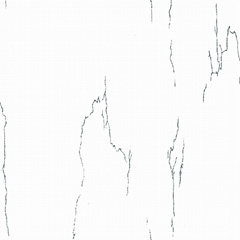 grès cérame poli brillant blanc Modèle D3-SP6221 / D3-SP8221